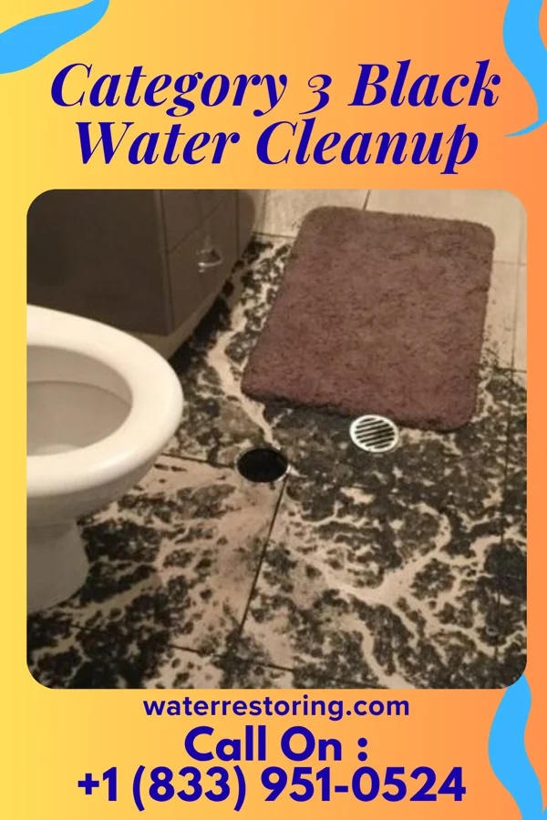 Category 3 Black Water Cleanup in Powers, MI