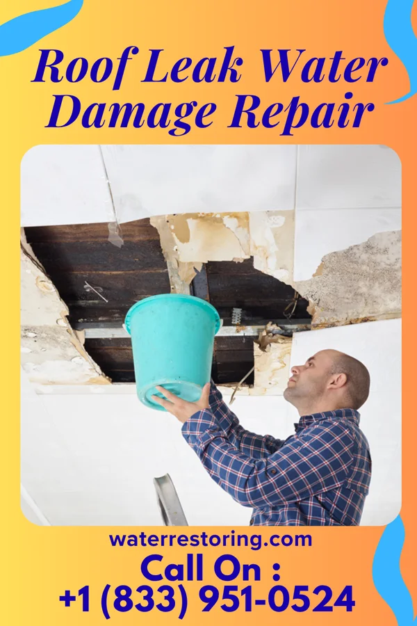 Roof Leak Water Damage Repair in Powers, MI