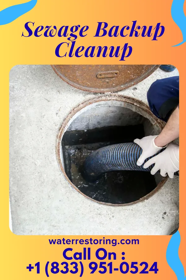 Sewage Backup Cleanup in Powers, MI