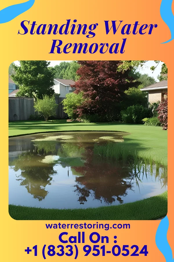 Standing Water Removal in Powers, MI